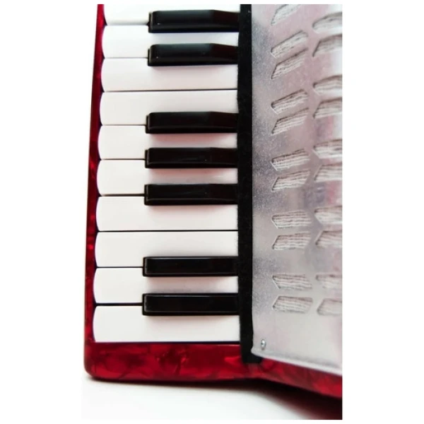 Acordeon Heimond A Piano Para Niños St-104 - 8bajos