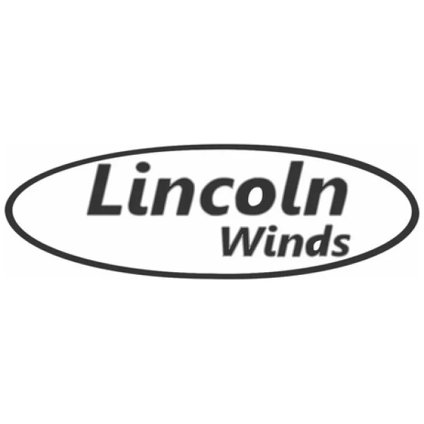 Clarinete Deluxe Lincoln Lccl-612c Bb 17llaves Plata Estuche