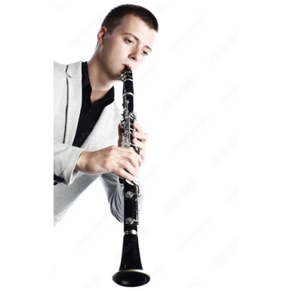 Clarinete Deluxe Lincoln Lccl-612c Bb 17llaves Plata Estuche