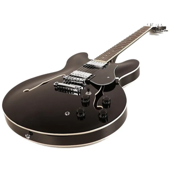 Guitarra Eléctrica Media Caja Sx Gg5/std Tipo 335