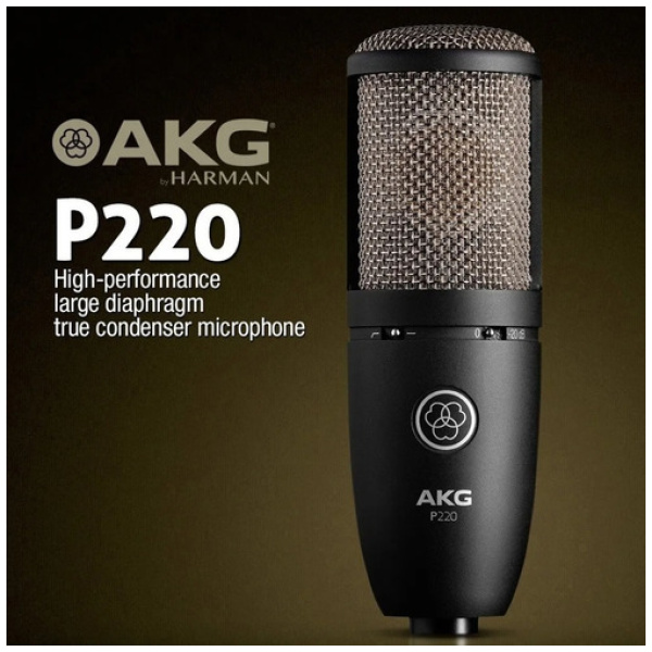 Microfono Condenser Akg P220 Condensador P/ Estudio