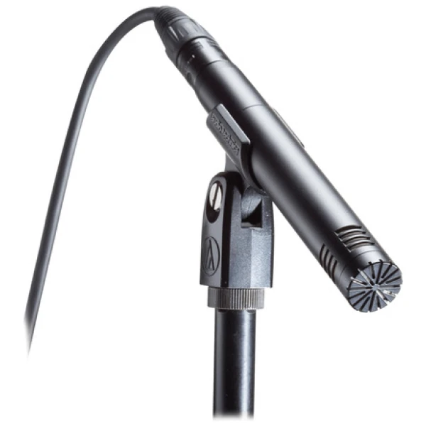 Microfono Condenser Audio Technica At2031 P/ Instrumentos AudioTechnica