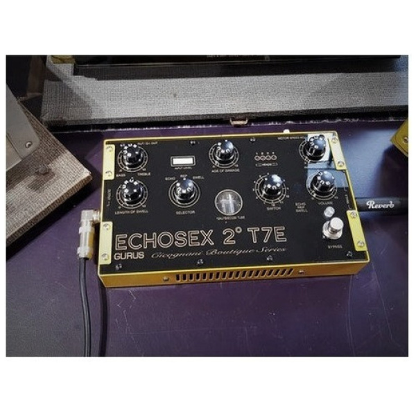 Pedal Delay Valvular Multihead Gurus Echosex2° T7e