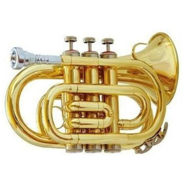Trompeta Pocket Bb Dorada Lincoln Lwtr1406 C/estuche