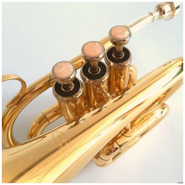 Trompeta Pocket Bb Dorada Lincoln Lwtr1406 C/estuche