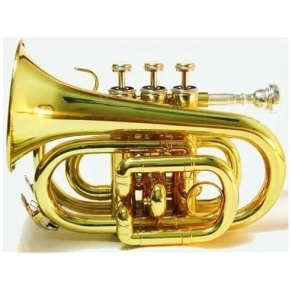 Trompeta Pocket Bb Dorada Lincoln Lwtr1406 C/estuche