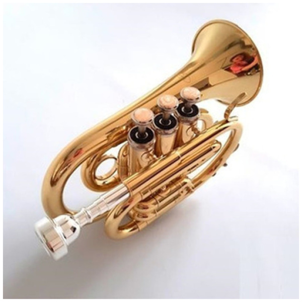 Trompeta Pocket Bb Dorada Lincoln Lwtr1406 C/estuche