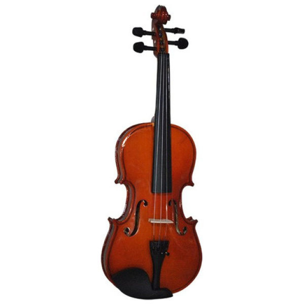 Violin 1/2 Palatino Pv-1/2 C/ Estuche Arco Y Resina