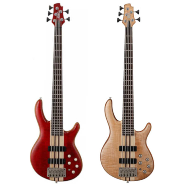 Bajo Eléctrico CortGuitars A5 Plus FMMH-OP