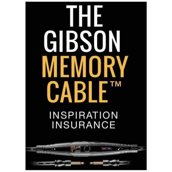 Cable C/ Grabadora Tascam Gibson Memory Gc-r05