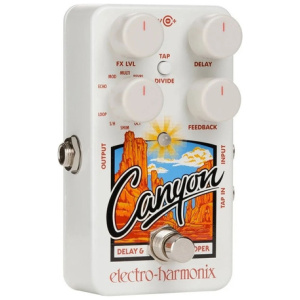Electro Harmonix Canyon Delay Y Looper