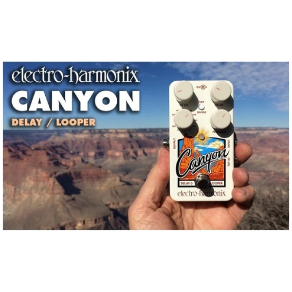 Electro Harmonix Canyon Delay Y Looper