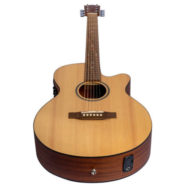 Guitarra Electroacústica Bamboo Ga-40-spruce-q C/ Funda
