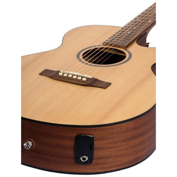 Guitarra Electroacústica Bamboo Ga-40-spruce-q C/ Funda