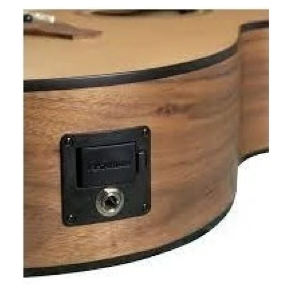 Guitarra Electroacustica Bamboo Ga-40 Eq Fishman C/ Funda