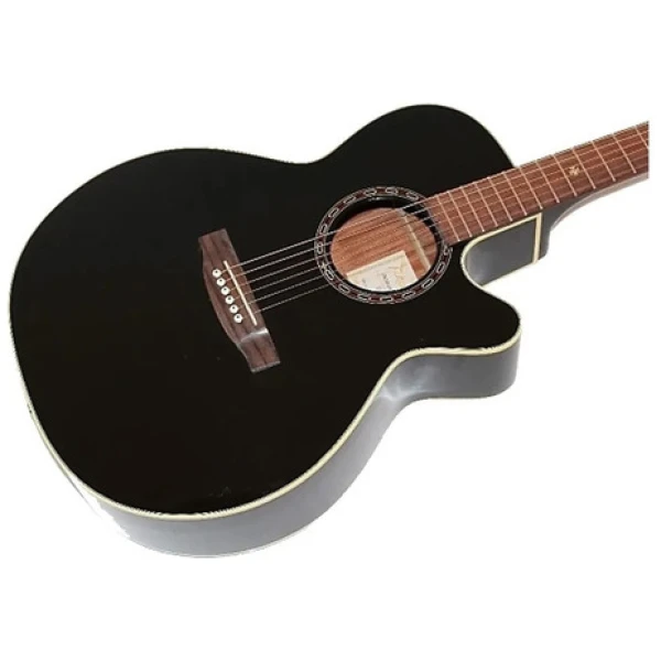 Guitarra  Acústica  Takamine Eg481scx