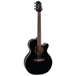 Guitarra  Acústica  Takamine Eg481scx