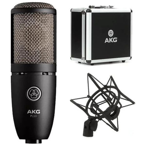 Micrófono Condensador Akg P420 Cardioide / Omnidireccional