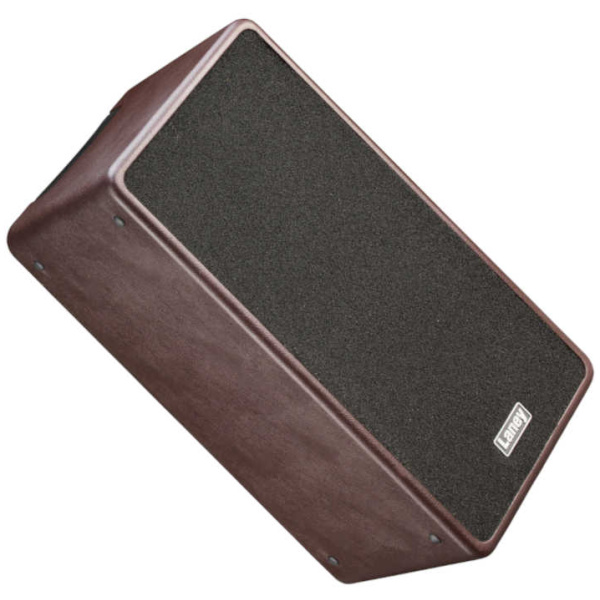 Amplificador Multifunción Laney A-DUO