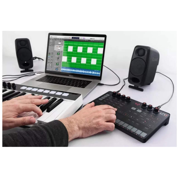 Sintetizador Analógico IK Multimedia Uno Synth