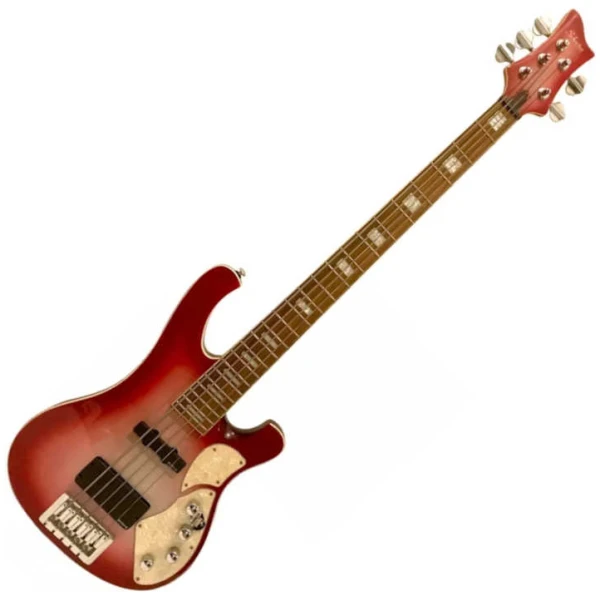 Bajo Eléctrico Schecter Stargazer 5 Tipo Rickenbacker CG