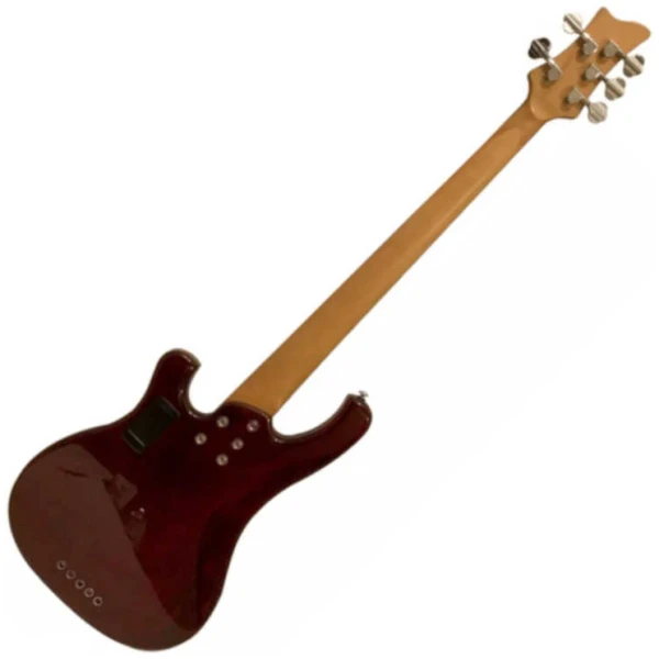 Bajo Eléctrico Schecter Stargazer 5 Tipo Rickenbacker CG