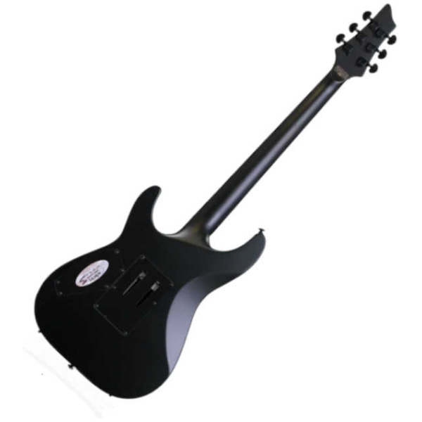 Guitarra Eléctrica Schecter Stealth FR SBK