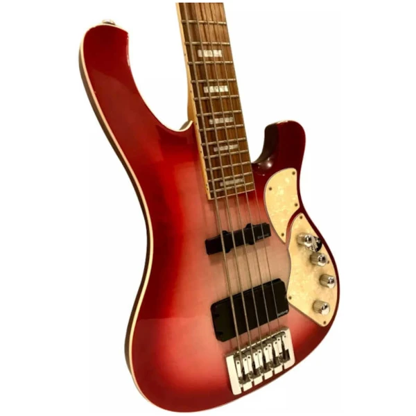 Bajo Eléctrico Schecter Stargazer 5 Tipo Rickenbacker CG