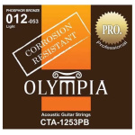 Encordado Olympia Guitarra Acústica 012-053 CTA1253PB