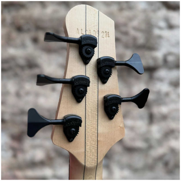 Bajo Eléctrico Swan Alpha Modern 5 cuerdas