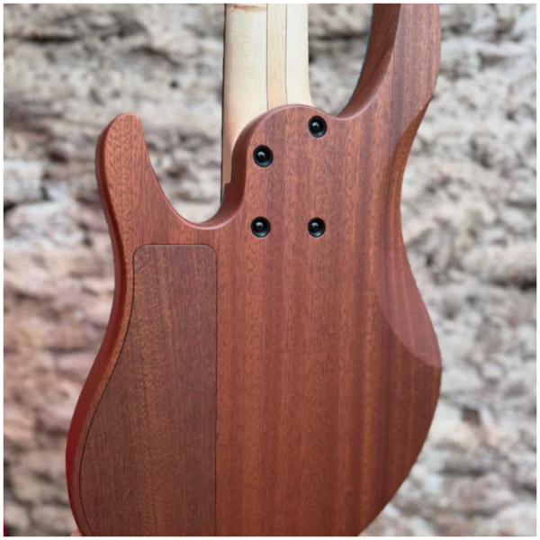 Bajo Eléctrico Swan Alpha Modern 5 cuerdas