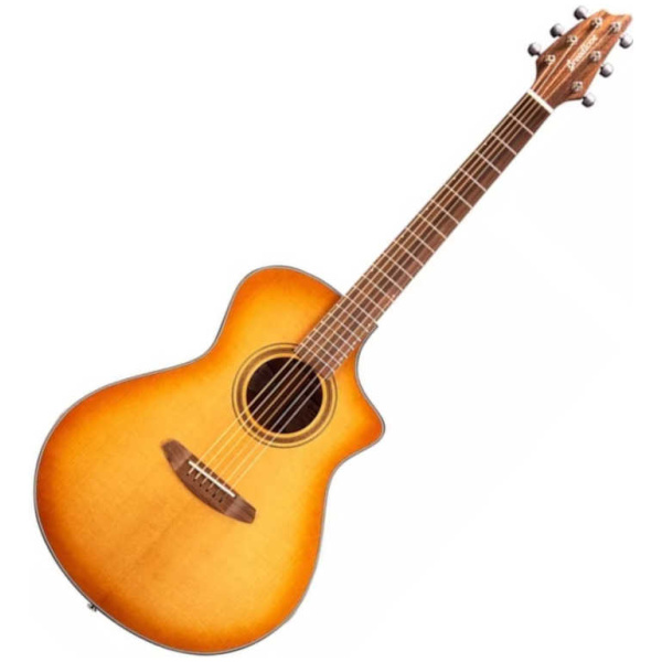 Guitarra Electroacústica Breedlove Snt21ep Signature