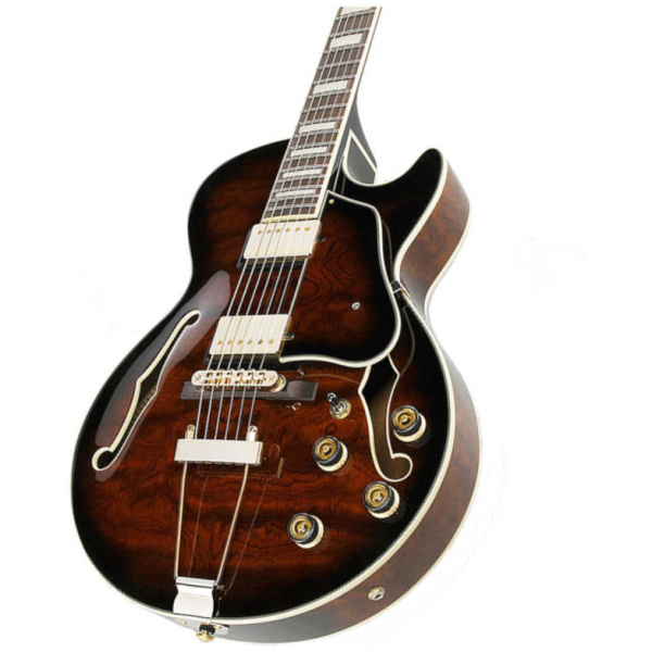 Guitarra Eléctrica Ibanez AG95-DBS