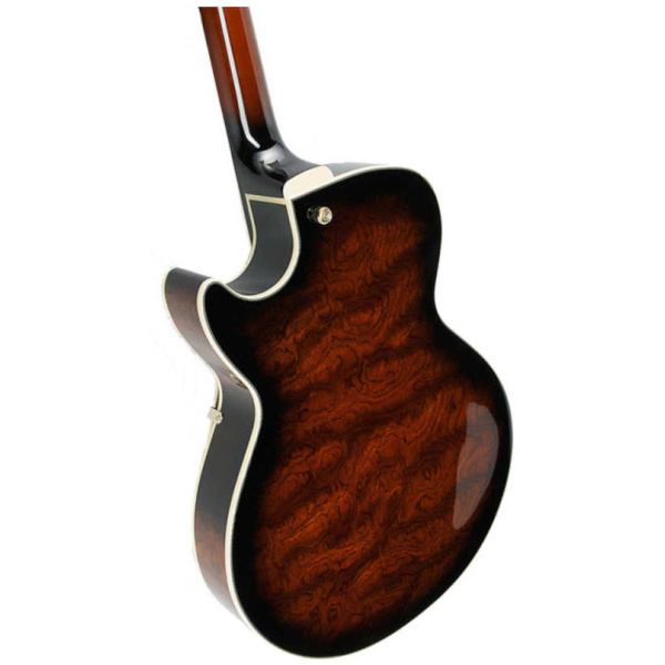 Guitarra Eléctrica Ibanez AG95-DBS