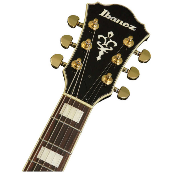 Guitarra Eléctrica Ibanez AG95-DBS