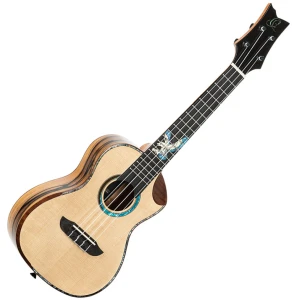 Ukelele Electro Concierto Ortega Private Room Eagle Suite