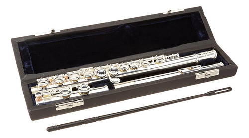 Flauta Traversa Roy Benson Fl402e Níquel Plateado