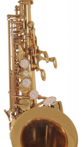 Saxo Soprano Curvo Roy Benson Sg302 Sib Con Estuche