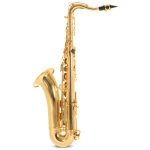 Saxofón Tenor Roy Benson Ts202 Bb