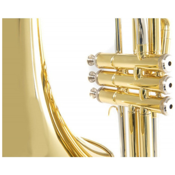 Trombón A Pistones Roy Benson Vt227 Bb