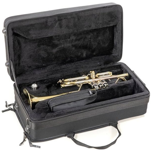 Trompeta En Do Roy Benson Tr402c Con Estuche