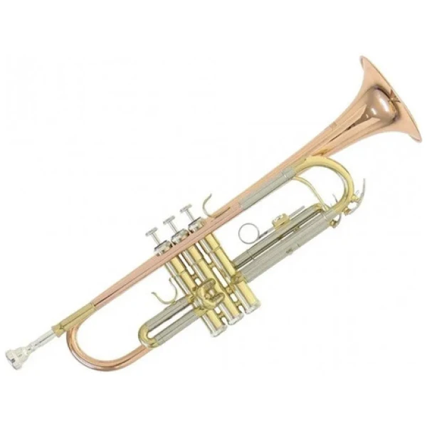 Trompeta Sib Roy Benson Tr202g Dorada Con Estuche