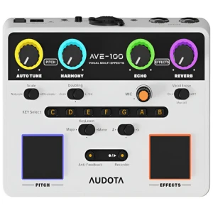 Procesador Multiefectos De Pedal Vocal Audota Ave-100