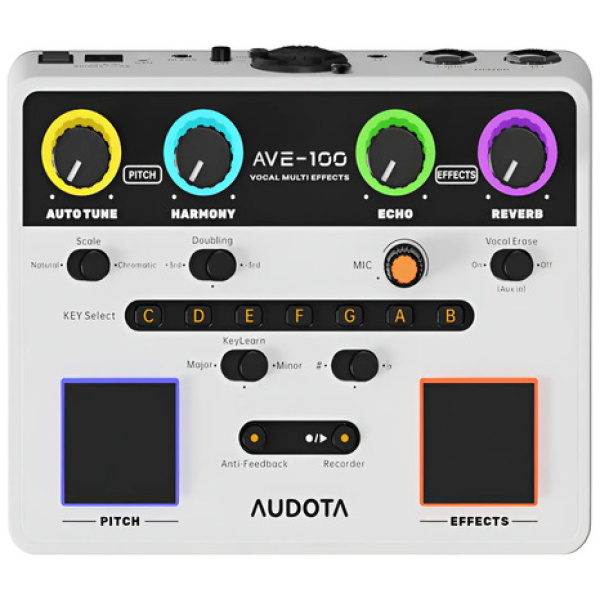 Procesador Multiefectos De Pedal Vocal Audota Ave-100