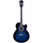 Guitarra Electroacústica Ibanez Ael10e-mbs