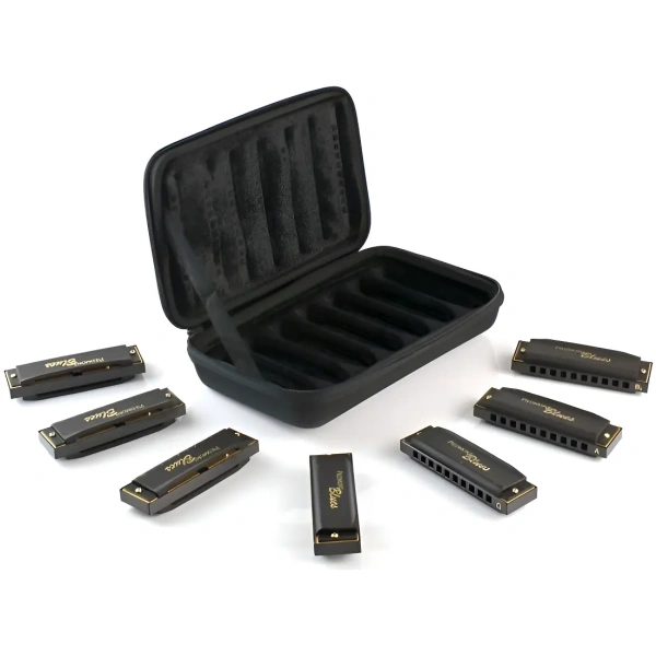 Set 7 Armónicas Hohner Piedmont Blues M91107s 20 Voces