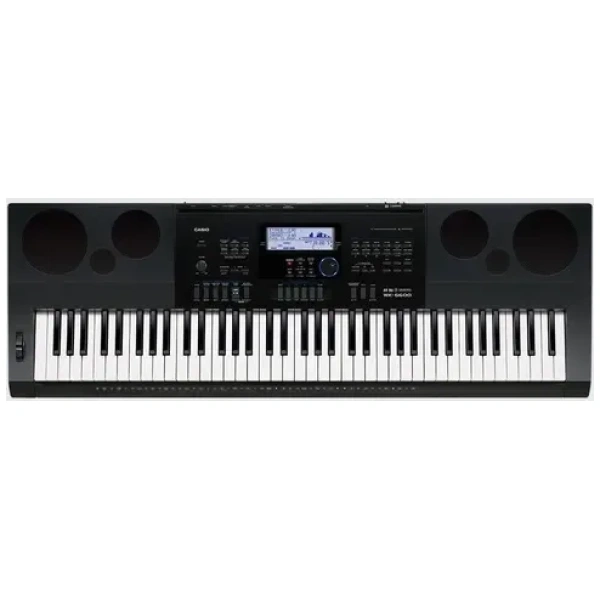 Teclado Sintetizador Casio Wk6600 76 Teclas