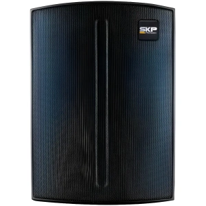 Altavoz Portátil Inalámbrico Skp Q1 Pro Negra 110v/220v
