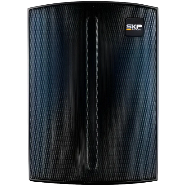 Altavoz Portátil Inalámbrico Skp Q1 Pro Negra 110v/220v